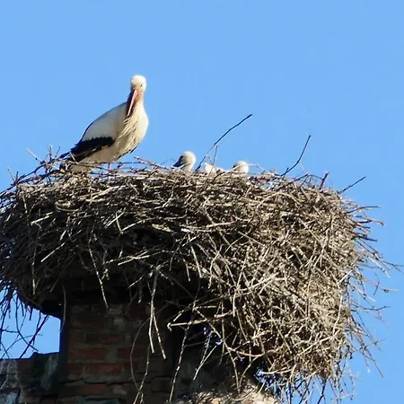 Un Balcon Sur Les Toits Бебленхайм