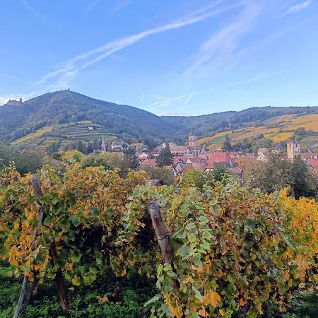 Appartement Un Balcon Sur Les Toits