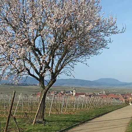 アパート Un Balcon Sur Les Toits *