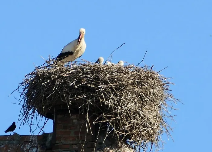 Un Balcon Sur Les Toits Beblenheim
