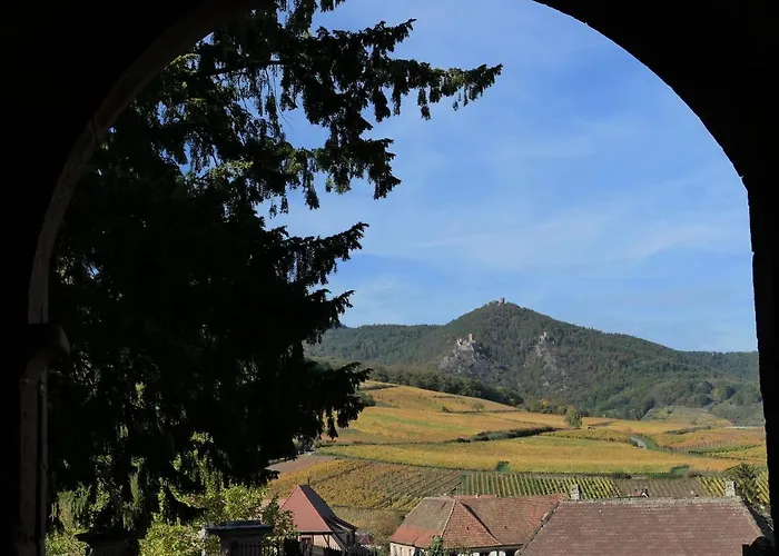 Un Balcon Sur Les Toits *