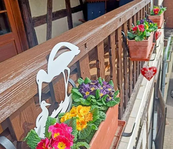 Un Balcon Sur Les Toits Διαμέρισμα *